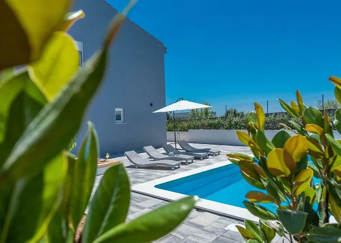 Black&beauty * זאדאר