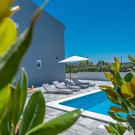 Black&beauty * Zadar